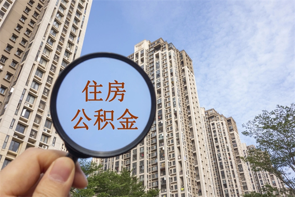 双鸭山辞职了补充公积金能取不（辞职后补充公积金如何提取）
